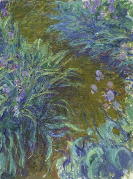 Irise von Claude Monet