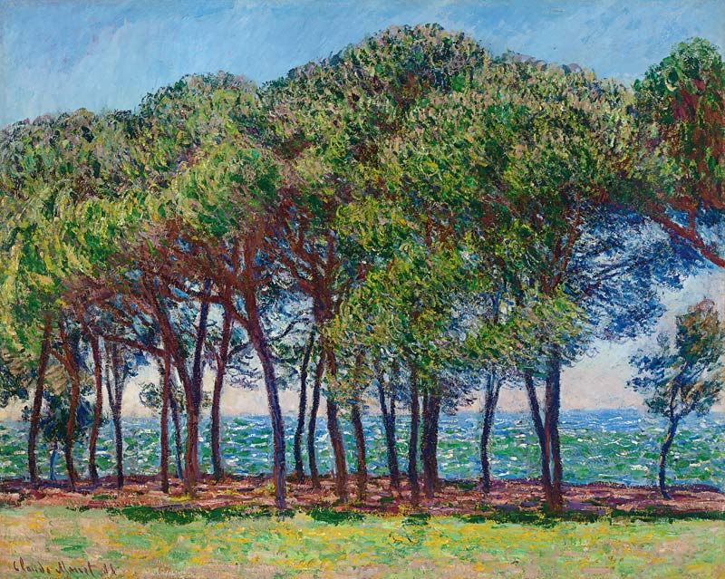 Kiefern am Cap d'Antibes von Claude Monet