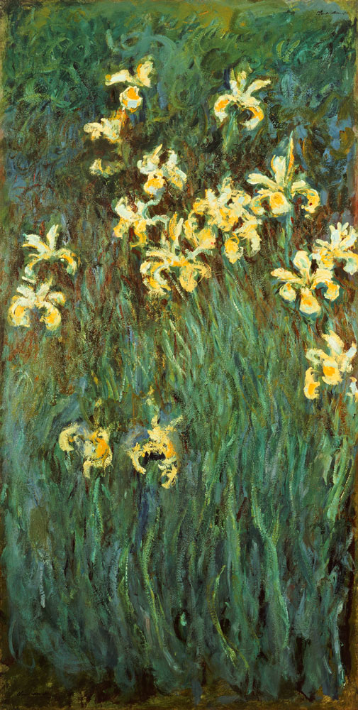 The Yellow Irises von Claude Monet