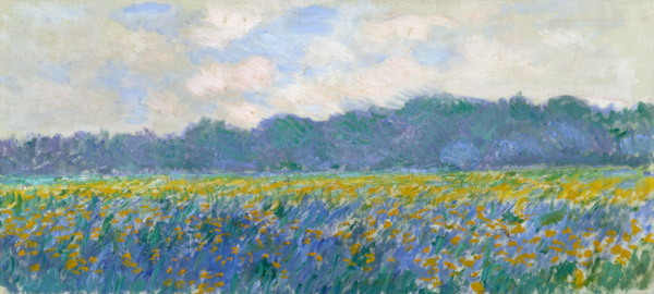 Field of Yellow Irises at Giverny von Claude Monet