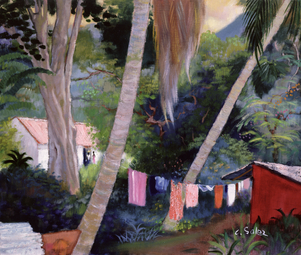 Drying Washing, Guadeloupe von Claude Salez