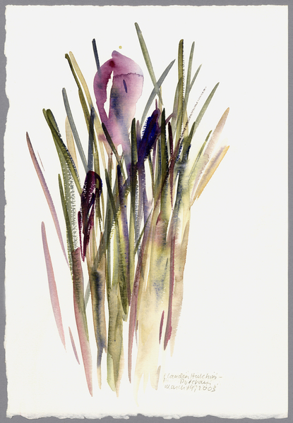Crocus von Claudia Hutchins-Puechavy