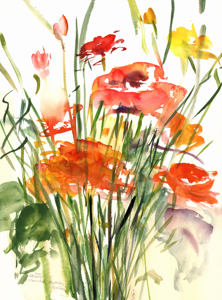 Renoncules von Claudia Hutchins-Puechavy