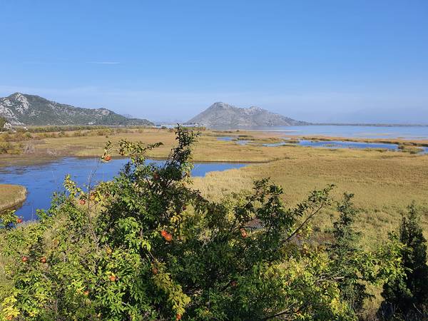 Blick auf den Nationalpark Skutarisee von Claudia Polte