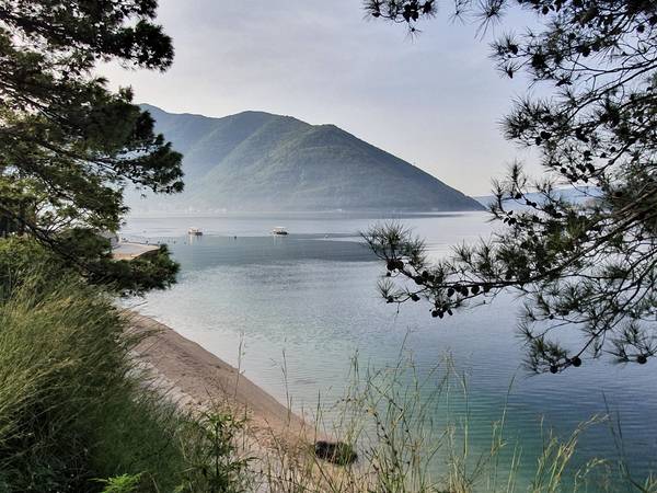 Blick auf die Bucht von Kotor von Claudia Polte