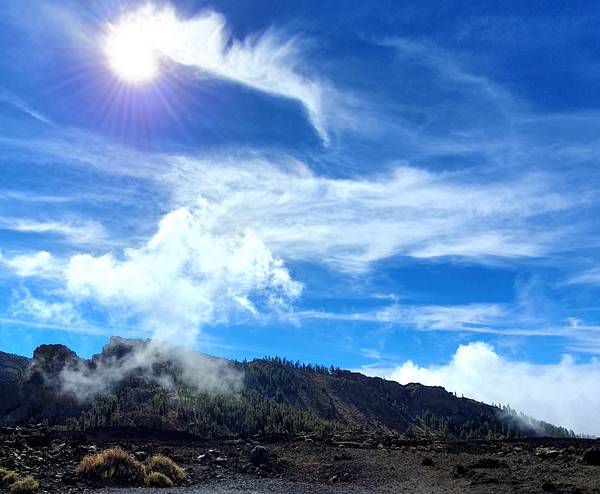 In den Bergen #1 von Claudia Polte