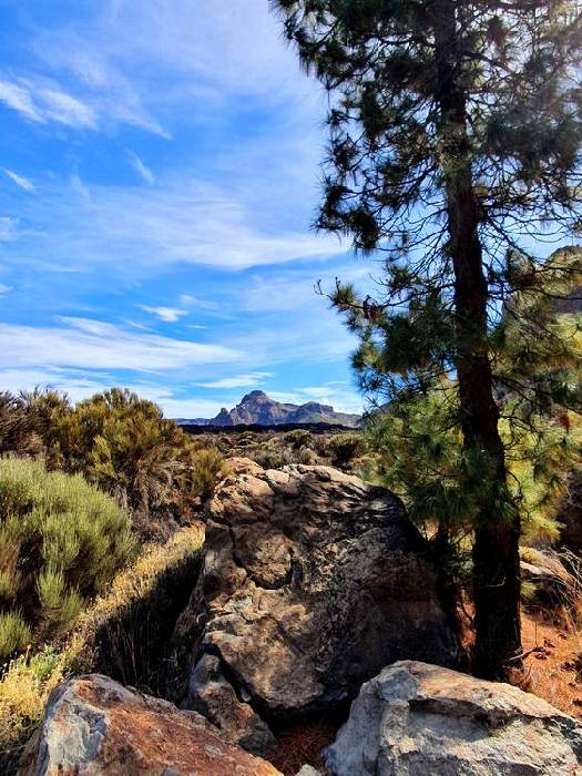 In den Bergen #3 von Claudia Polte