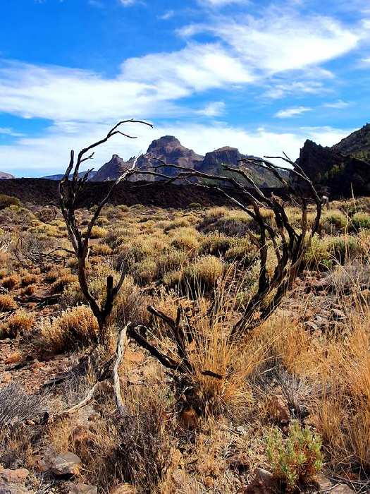In den Bergen #6 von Claudia Polte