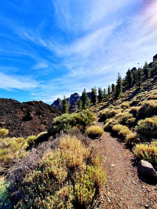 In den Bergen #7 von Claudia Polte