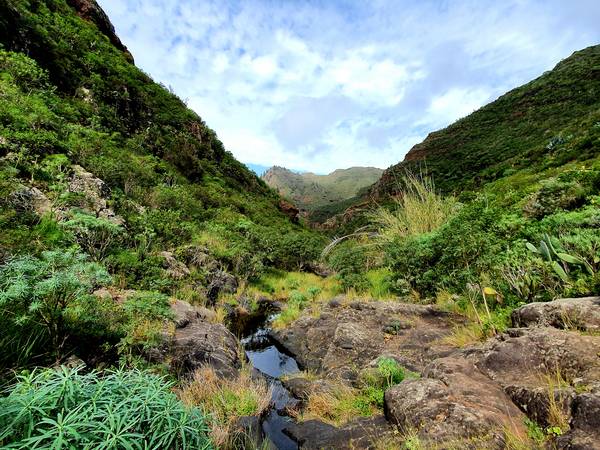 In den Bergen #8 von Claudia Polte