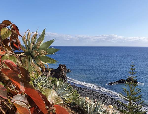 Madeira #24 von Claudia Polte