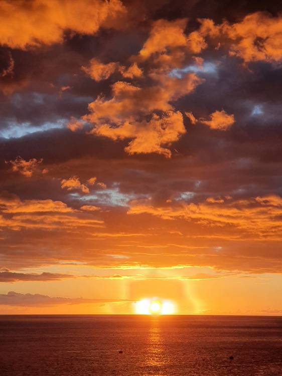 Madeira #28 von Claudia Polte