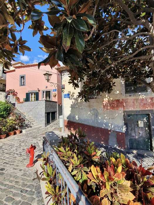 Madeira #29 von Claudia Polte