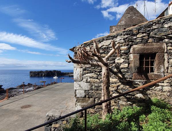 Madeira #32 von Claudia Polte