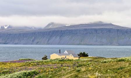 Hornstrandir, Island, Motiv 2
