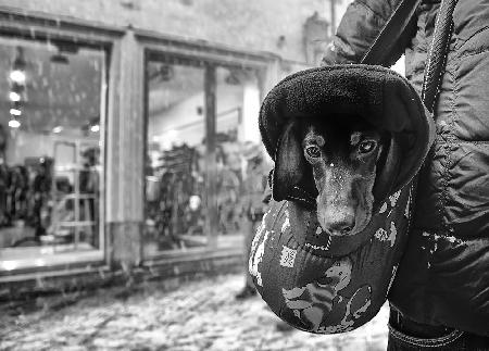 it snows in the city, and I ......