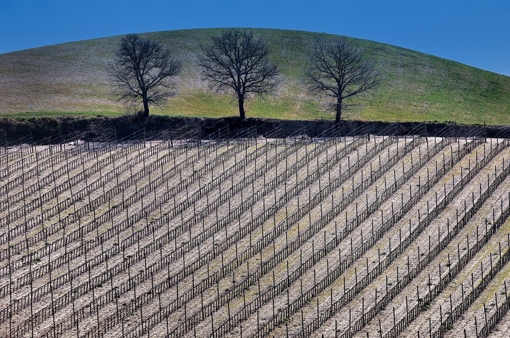 geometries von Claudio Moretti