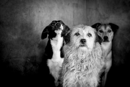 Project \&quot;lives on hold \&quot;