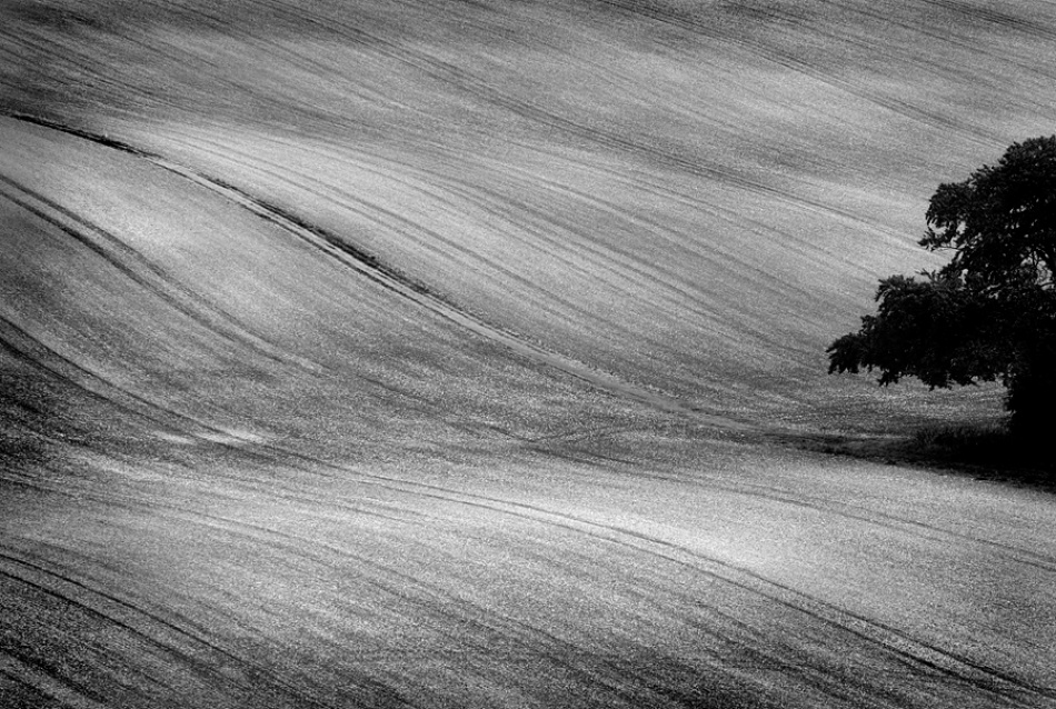 Winter field #1 von Clive Collie
