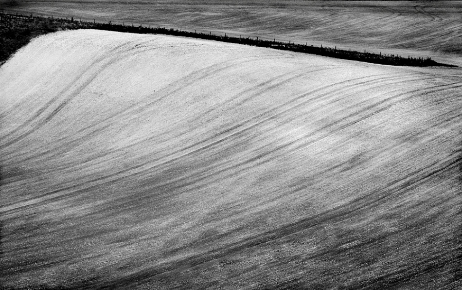 Winter field #3 von Clive Collie