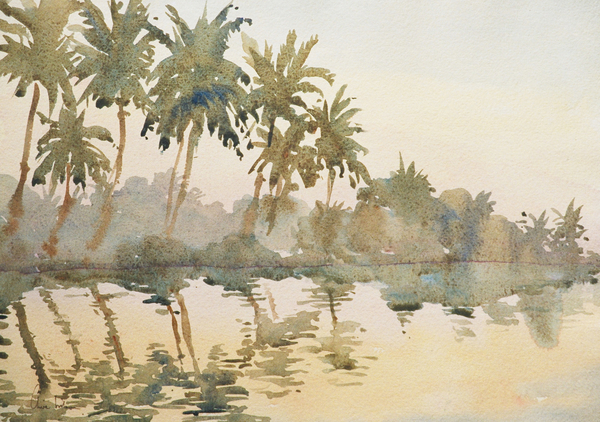 614 Dawn on the backwaters von Clive Wilson