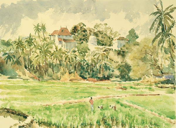 718 Lankatilaka from the paddy fields von Clive Wilson