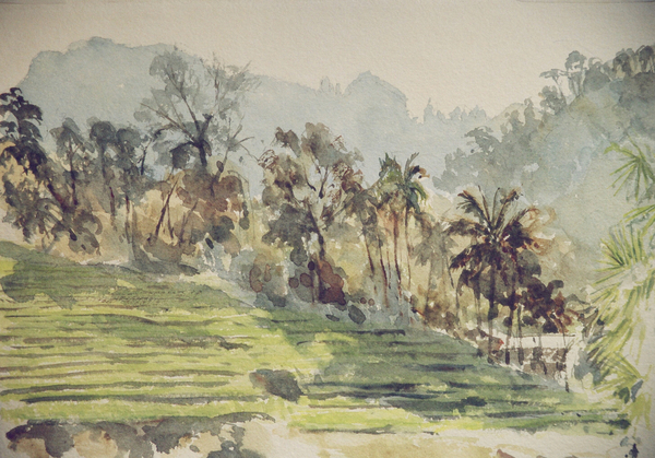 725 Stepped paddyfields, Ramboda von Clive Wilson