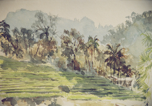 725 Stepped paddyfields, Ramboda von Clive Wilson