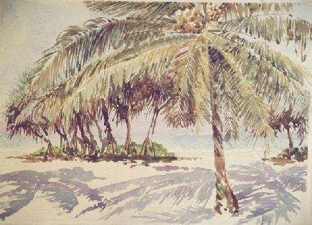 736 King coconuts and strawtrees