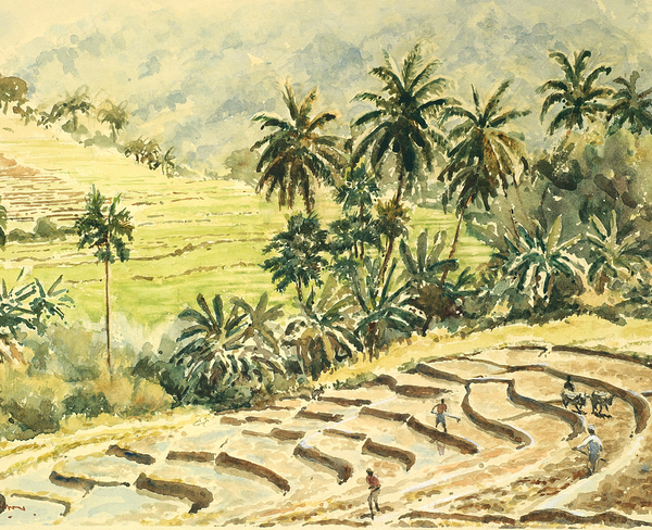 741 Dunhinda, preparing the paddy fields von Clive Wilson
