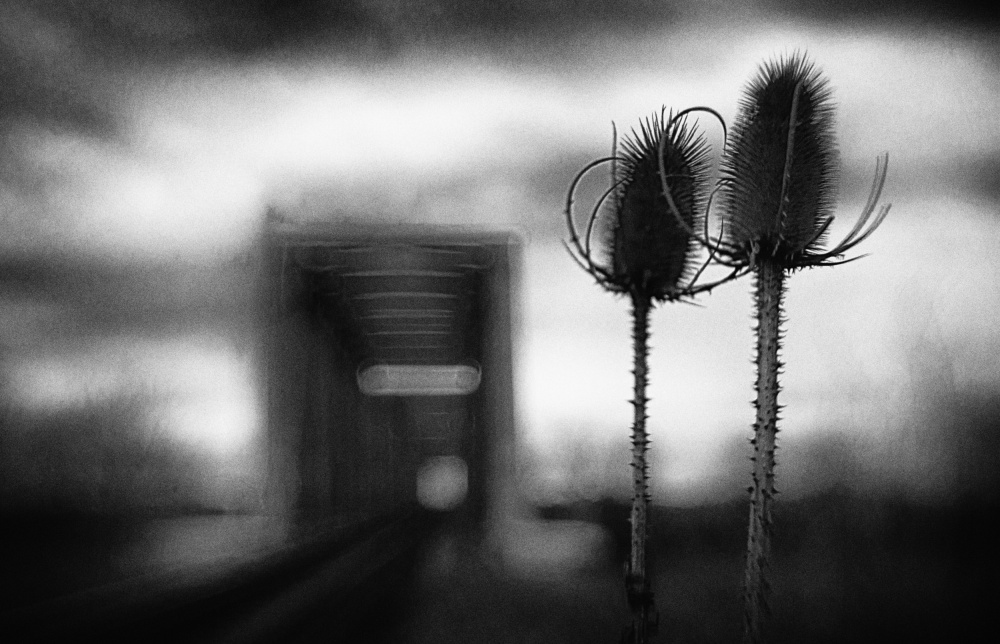 untitledl von Codrin Lupei