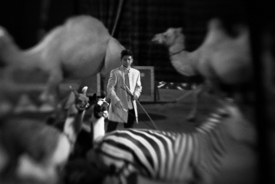 untitledl von Codrin Lupei