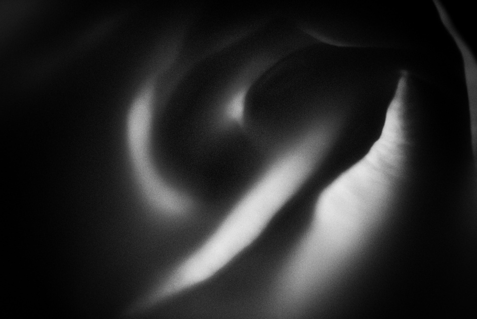 untitledl von Codrin Lupei