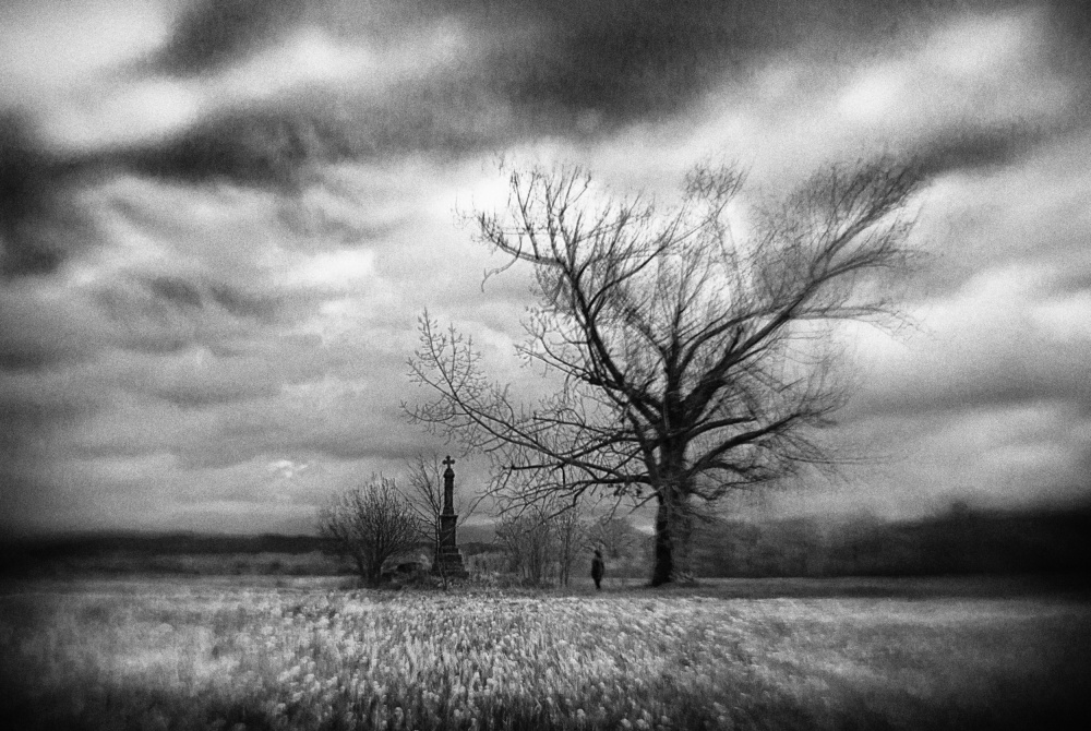 untitledl von Codrin Lupei