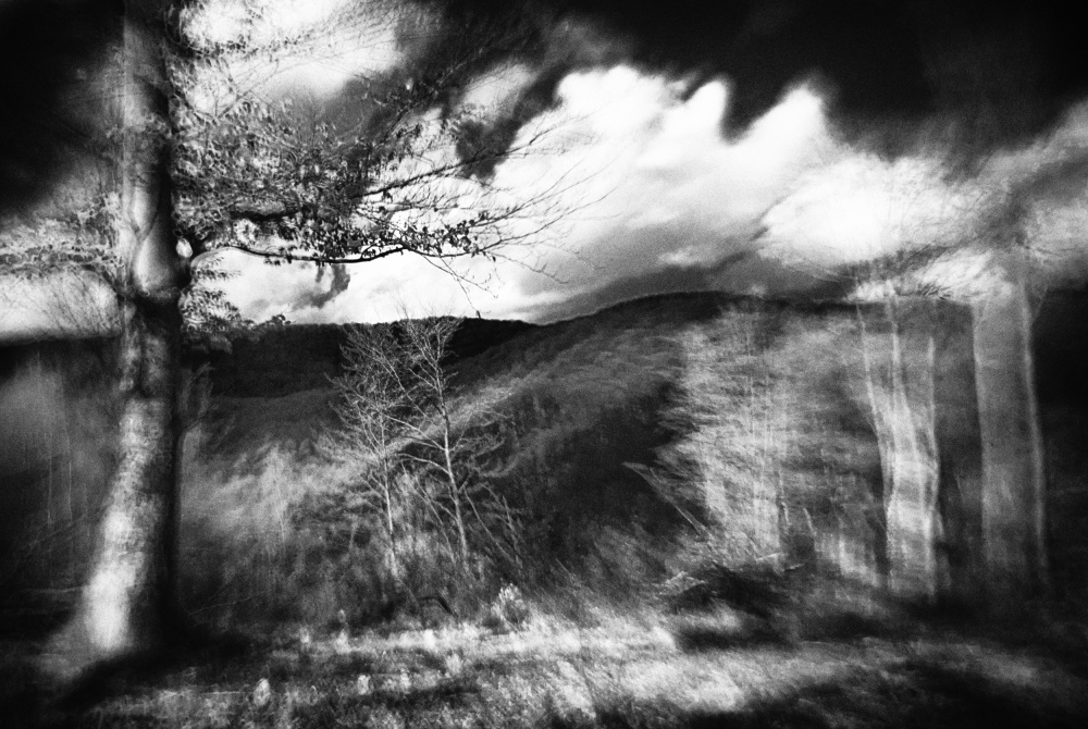 untitledl von Codrin Lupei