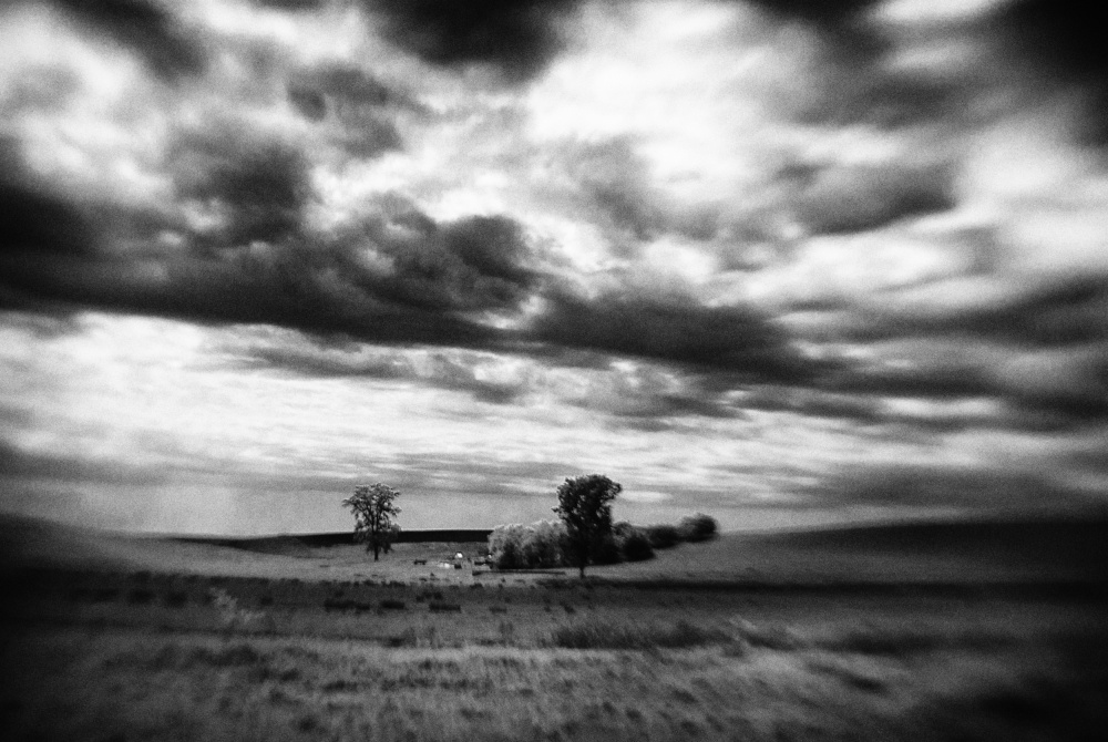 untitledl von Codrin Lupei