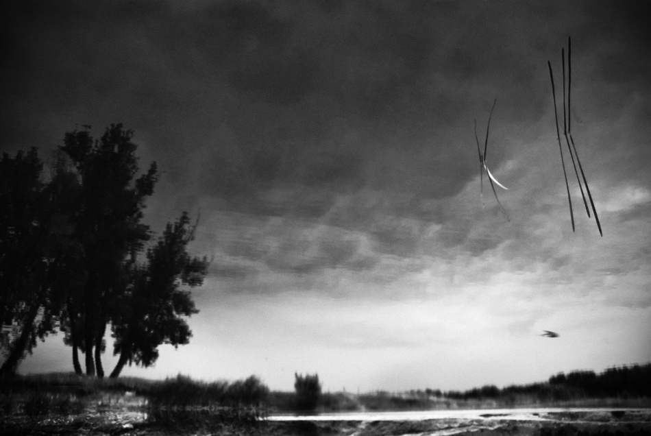 untitledl von Codrin Lupei