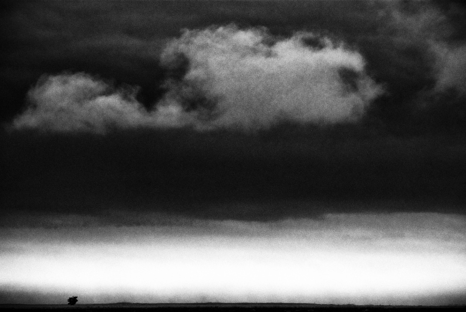 untitledl von Codrin Lupei