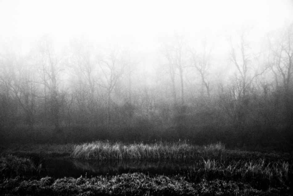 untitledl von Codrin Lupei