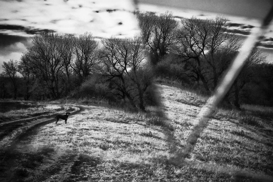 untitledl von Codrin Lupei