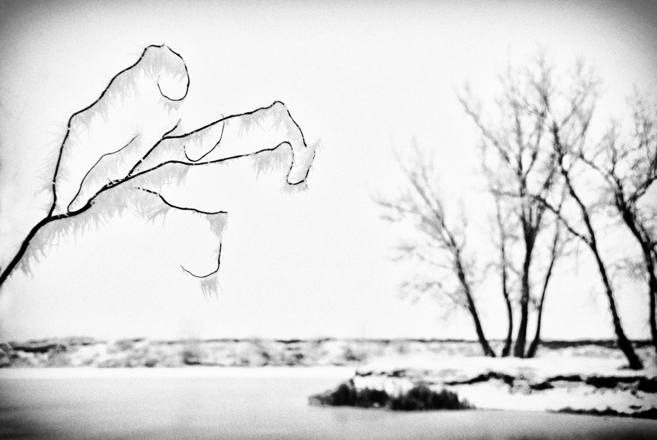 untitledl von Codrin Lupei