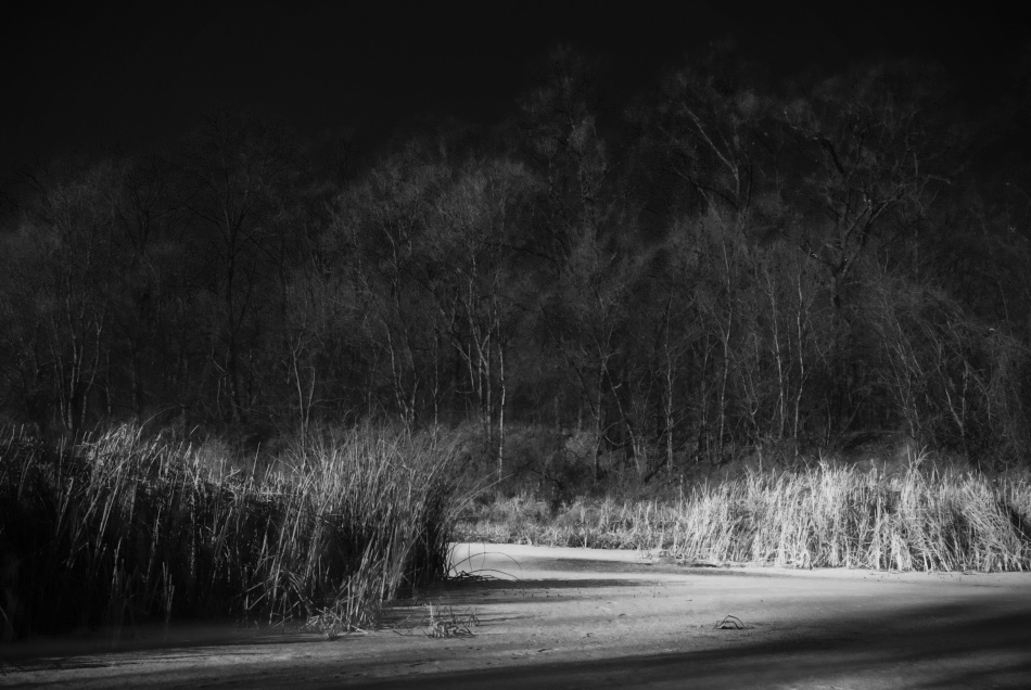 untitledl von Codrin Lupei