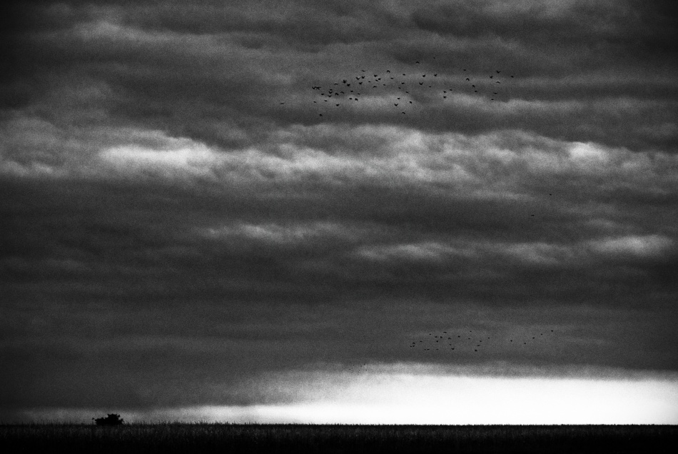 untitledl von Codrin Lupei