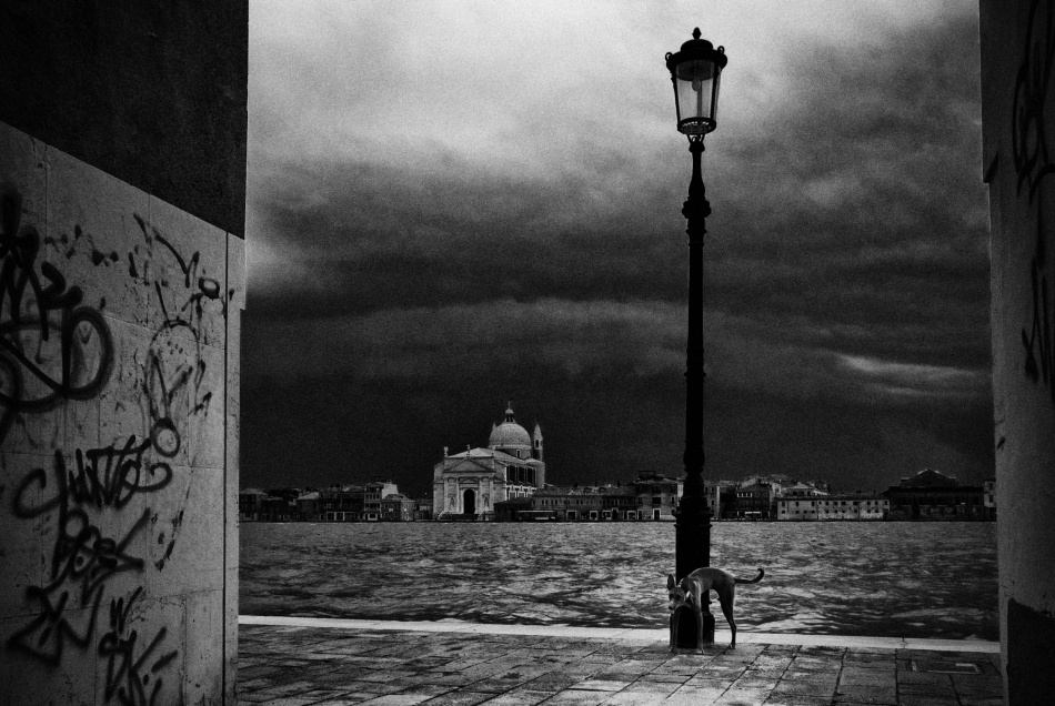 untitledl von Codrin Lupei