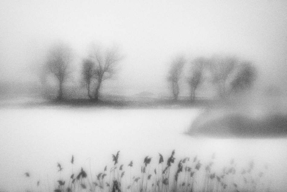 untitledl von Codrin Lupei