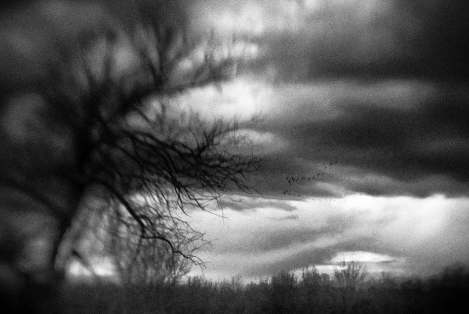 untitledl von Codrin Lupei