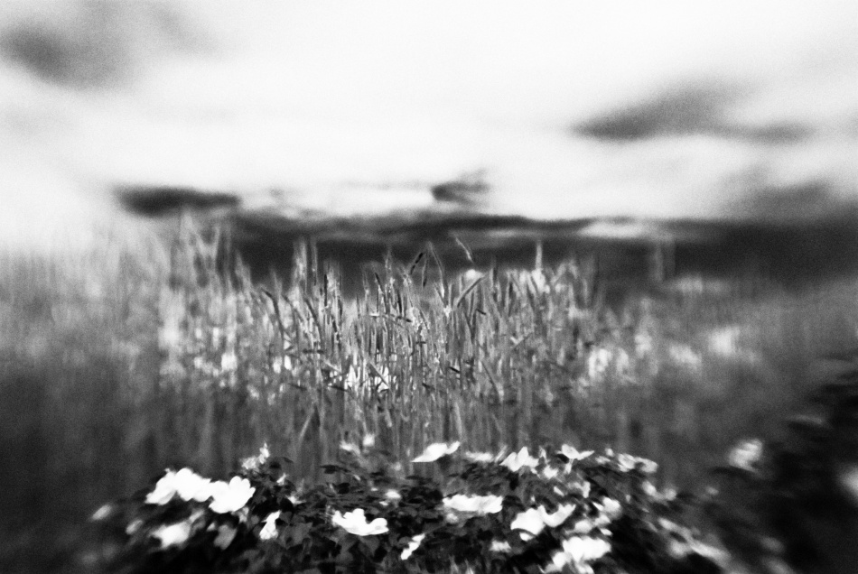 untitledl von Codrin Lupei