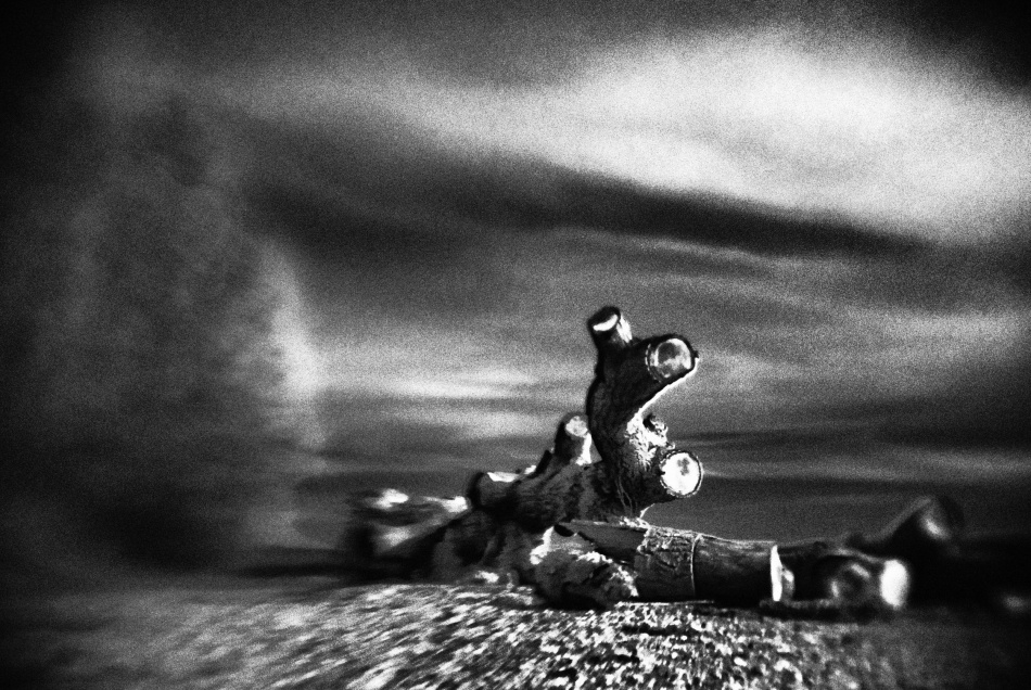 untitledl von Codrin Lupei