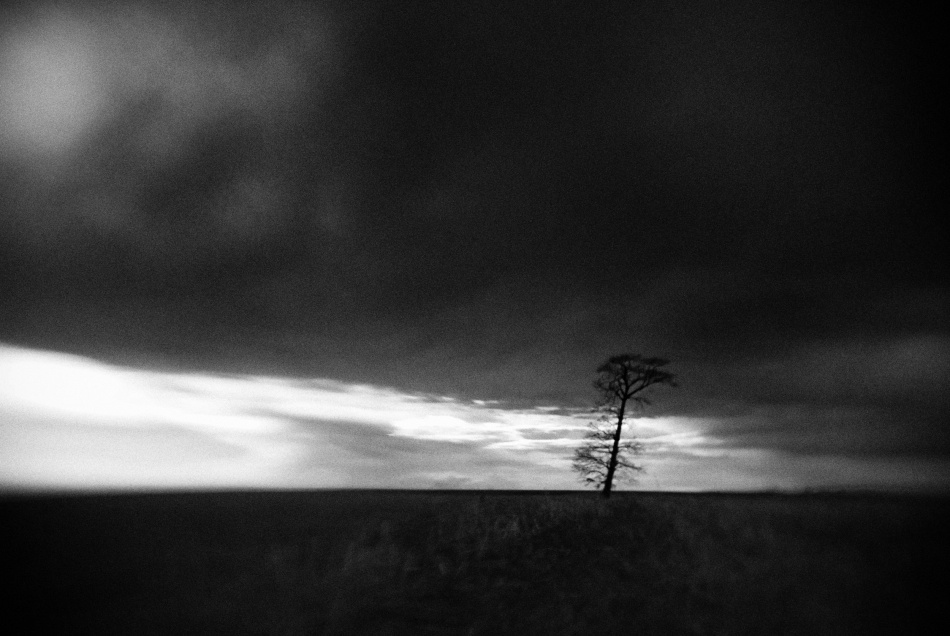 untitledl von Codrin Lupei