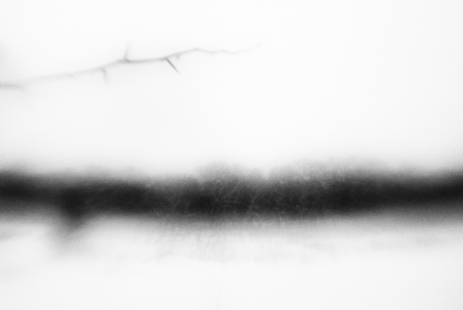 untitledl von Codrin Lupei